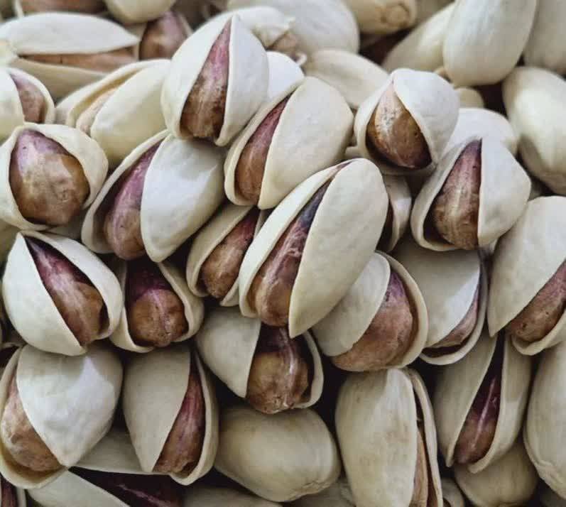 قیمت پسته سفید خندان اکبری